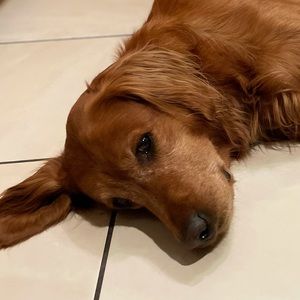 Meet your Posher, Mary